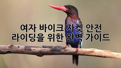여자 바이크 자켓: 안전 라이딩을 위한 완벽 가이드
